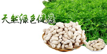 區塊鏈溯源 揭開有機農產品的偽裝術，重塑食用農產品批發新生態