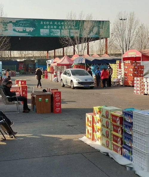 做水果生意，必須知道的5大水果一級批發市場與食用農產品初加工要點