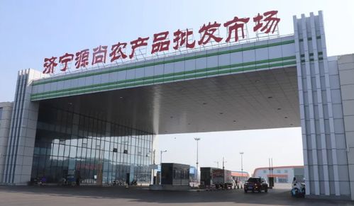 濟寧源尚農產品批發市場 打造農業產業集群特色品牌，助力鄉村振興的食用農產品樞紐